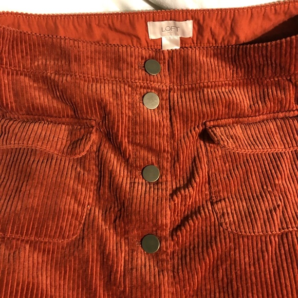 LOFT skirt!!! Brand new - Picture 2 of 4